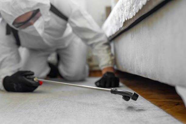 Professional Bed Bug Control technician working in Elkhart County County, IN